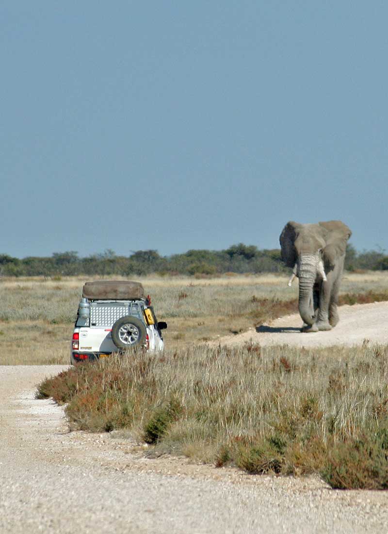 Etosha National Park